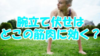 腕立て伏せはどこに効く?
