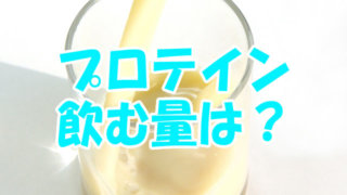 プロテインの量