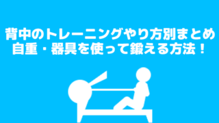背中の器具別トレーニングまとめ